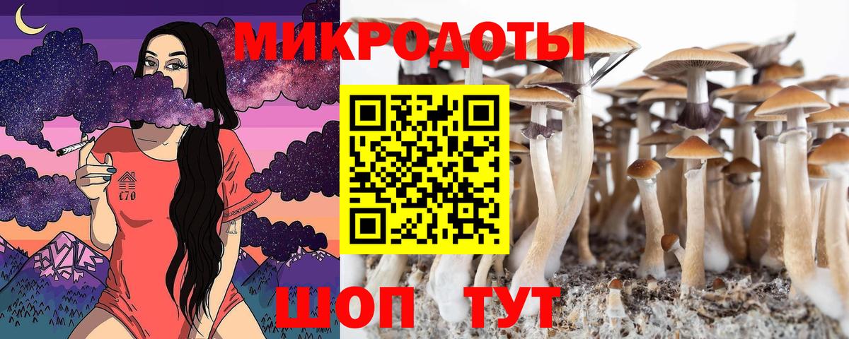 где купить наркотик  Вход с VPN  Юрга  Галлюциногенные грибы мухоморы 